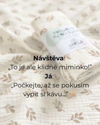 Každá maminka ví, že klid je vzácná komodita. A když se náhodou na pár minut dostaví, chce to využít naplno — ideálně v...